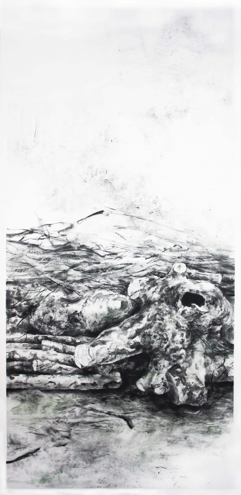 Peaux Mortes M LANIE PLANCHE peaux-mortes-m-lanie-planche